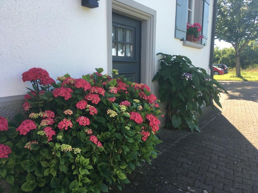 Bed & Breakfast Mit Charme- Aux2Platanes- Aussergewoehnlich Schoen Am Bodensee Salem  Exterior foto